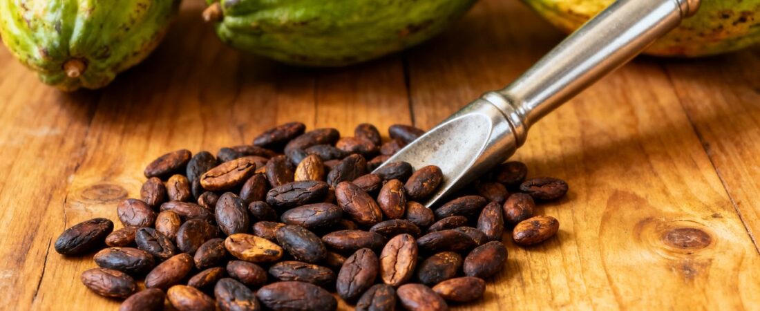 How to find a unique cacao farm tour in Medellín