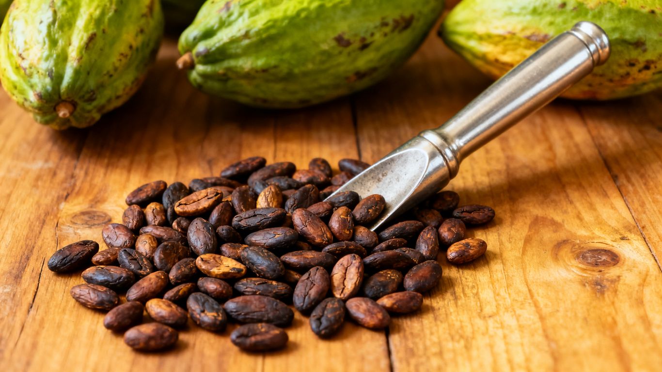 How to find a unique cacao farm tour in Medellín